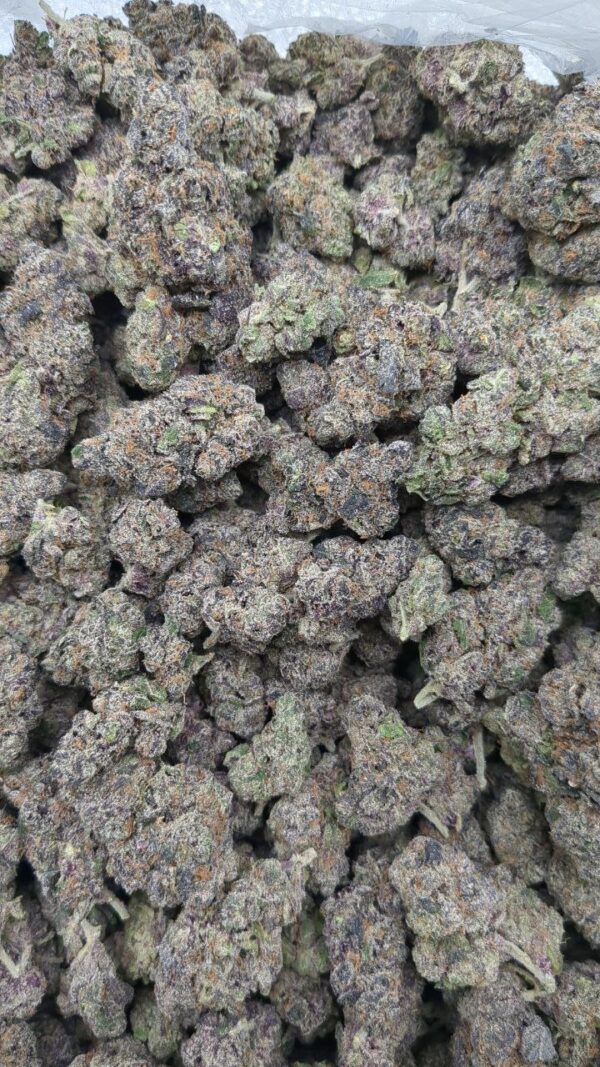 Granddaddy Purple strain